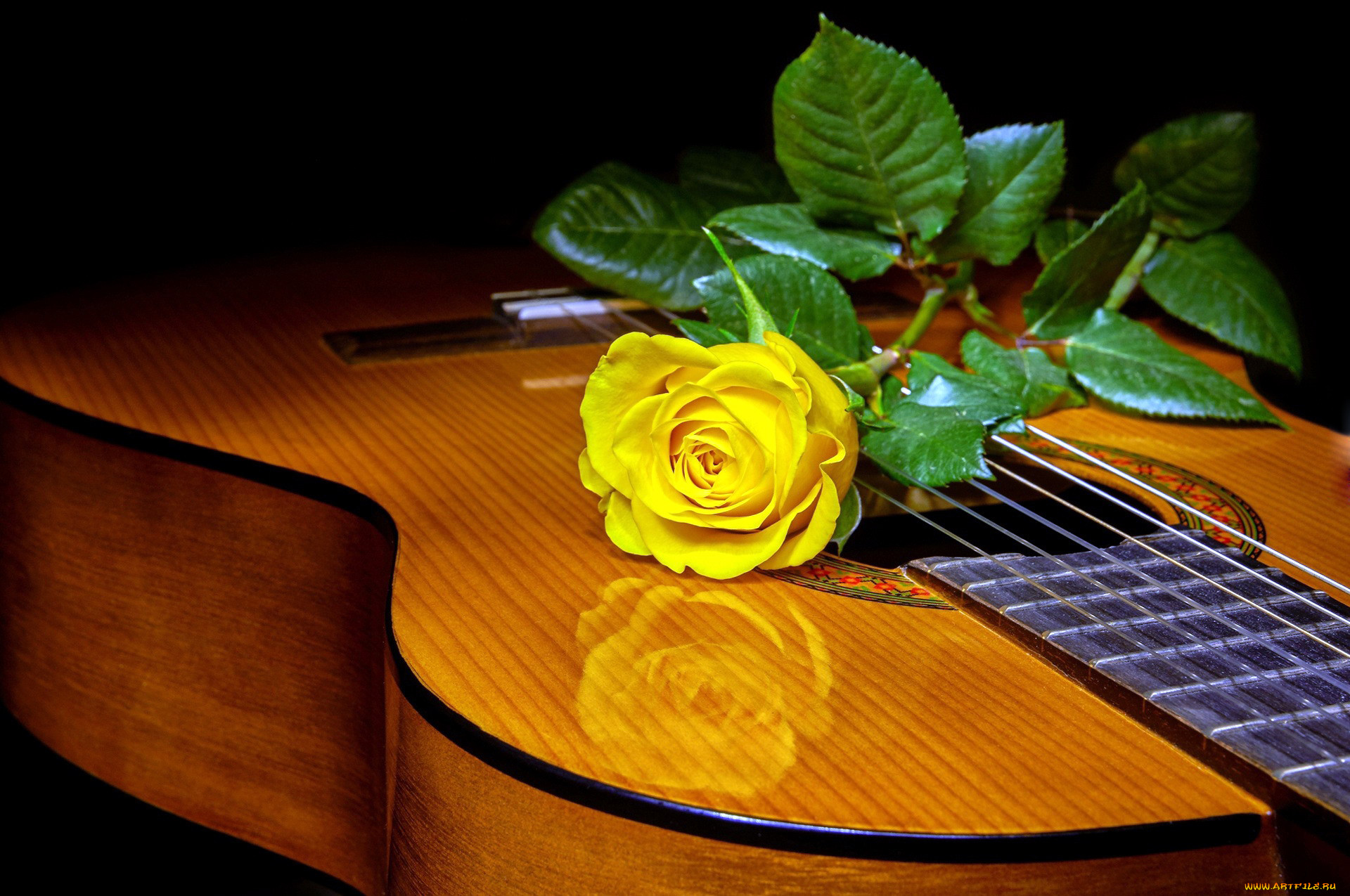 Гитара с цветами